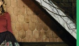 阁楼之花 在线观看,揭秘神秘阁楼中的爱情传奇