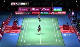 小羽毛球爆料视频,揭秘小羽毛球背后的故事